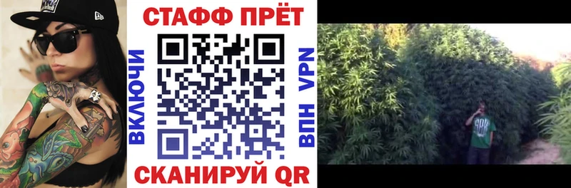 Купить наркоту Городовиковск LSD-25  Кокаин  АМФ  ГАШИШ  Каннабис 