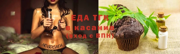 прущие грибы Надым