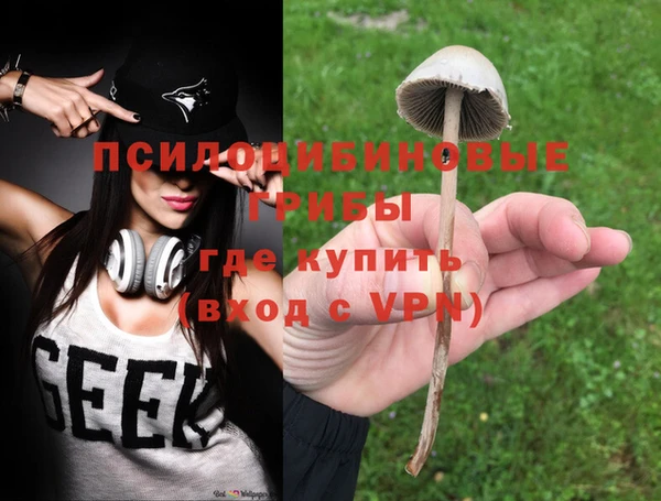 твердый Армянск