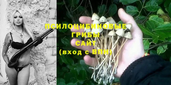 твердый Армянск