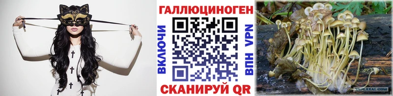 как найти   Городовиковск  Псилоцибиновые грибы Cubensis 